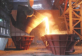 W020251125575333407010