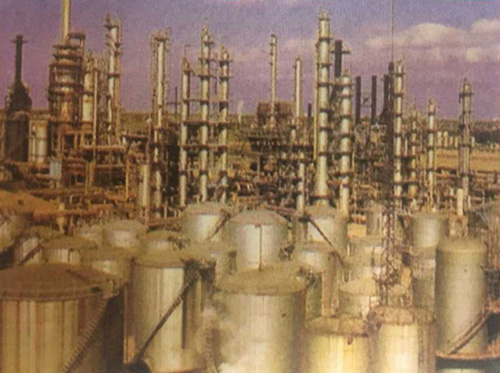 W020251125588855043872