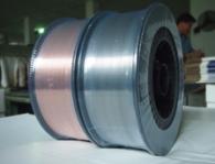 W020251125589505043344