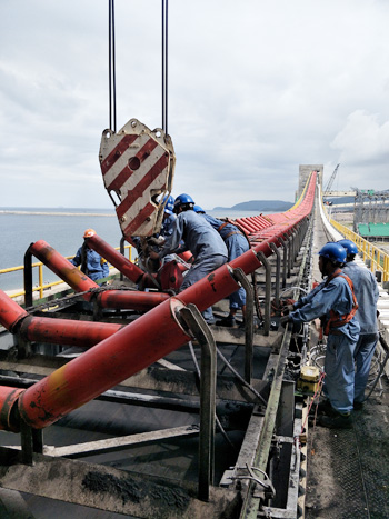 W020251125590068945603